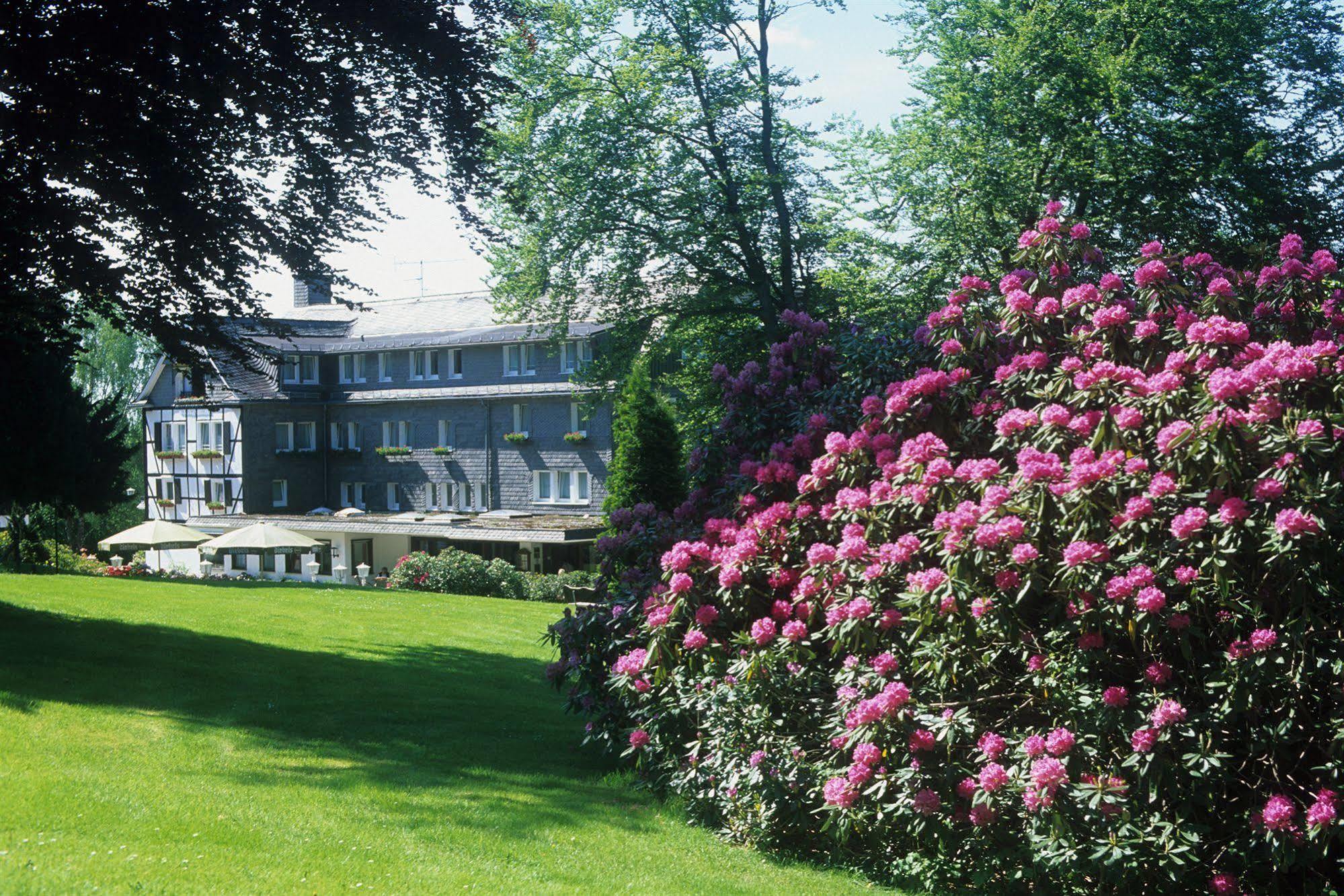 Hotel Jagdhaus Wiese Schmallenberg Exterior foto